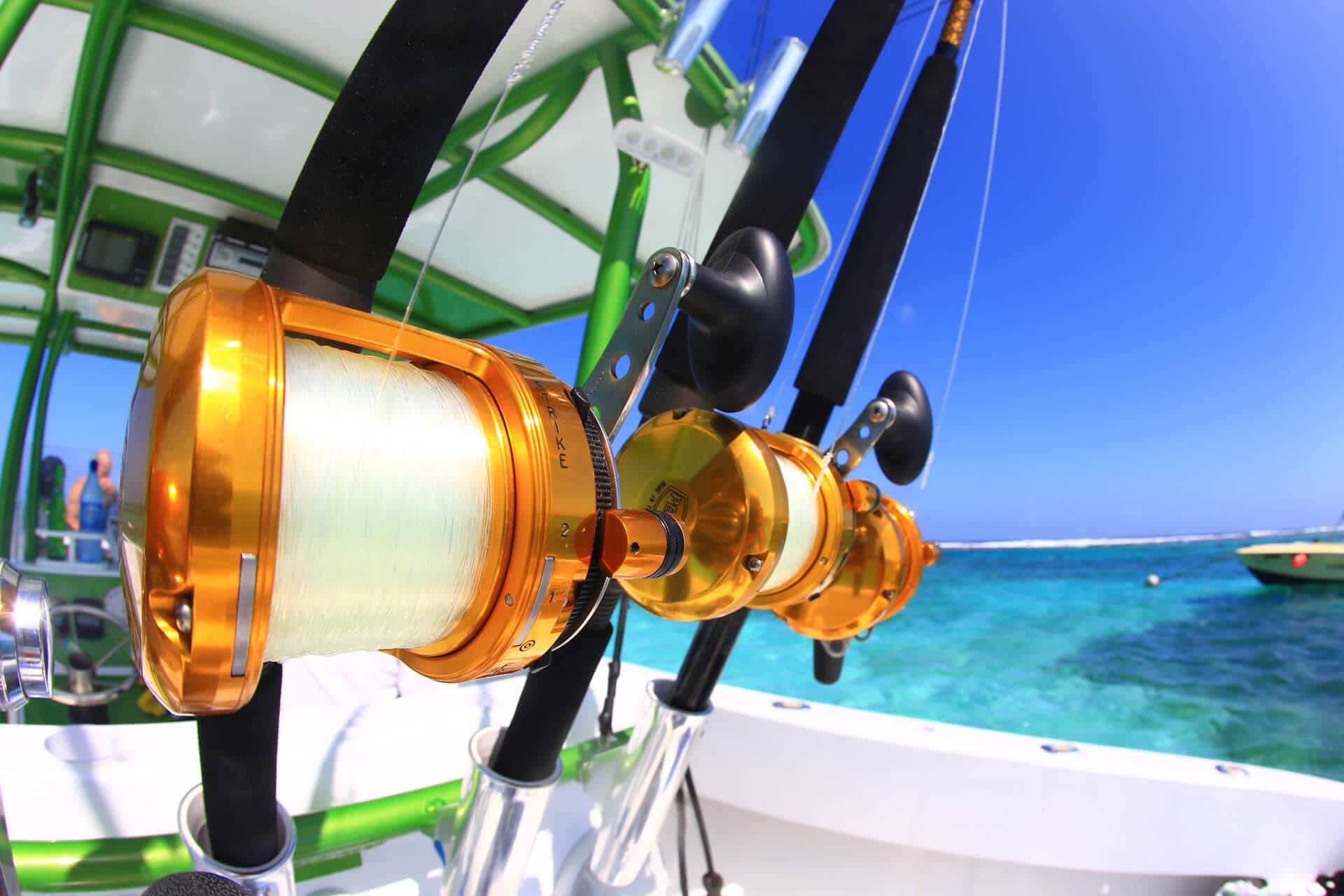 Fresh Catch